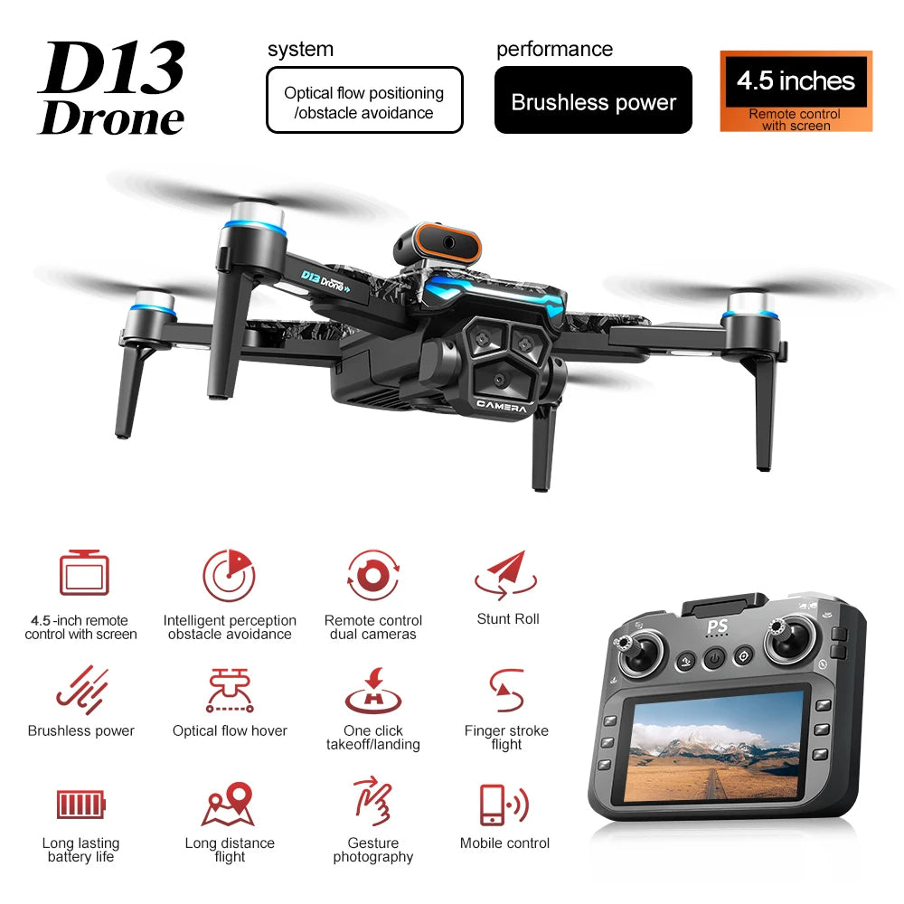 SkySeer D13