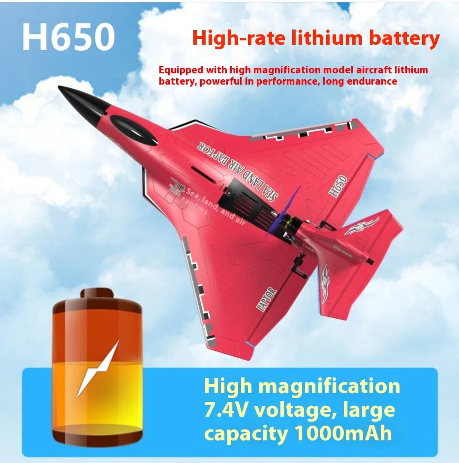 New H650 Big Size Rc Plane Water Proof And Fall Resistant Land And Air Raptor Rc Raptor Fixed Wing Foam Aircraft Outdoor Glider