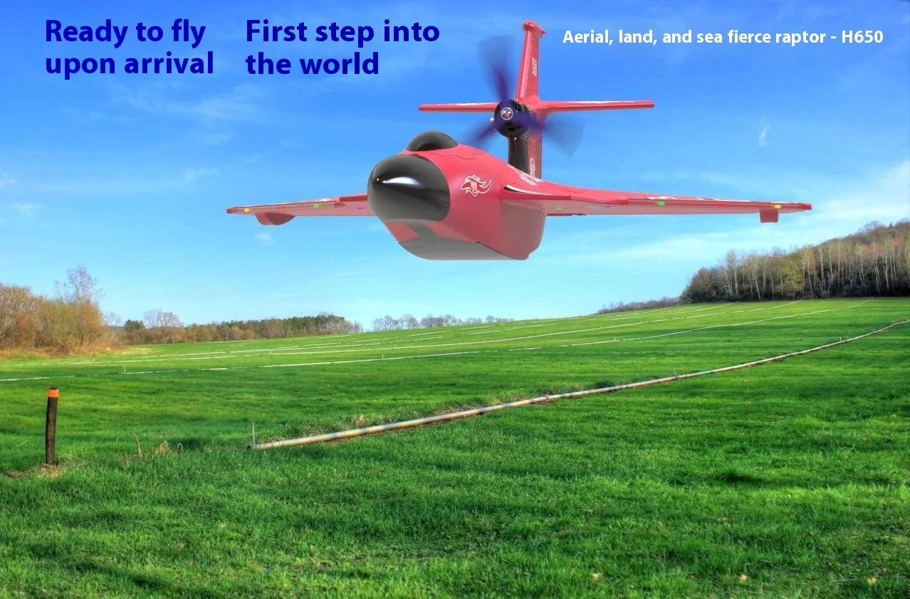 New H650 Big Size Rc Plane Water Proof And Fall Resistant Land And Air Raptor Rc Raptor Fixed Wing Foam Aircraft Outdoor Glider