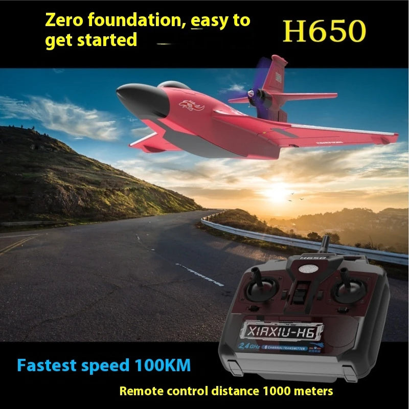 New H650 Big Size Rc Plane Water Proof And Fall Resistant Land And Air Raptor Rc Raptor Fixed Wing Foam Aircraft Outdoor Glider