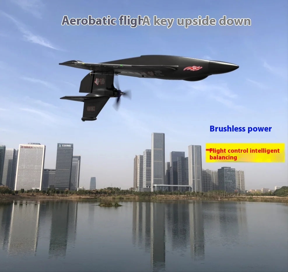 New H650 Big Size Rc Plane Water Proof And Fall Resistant Land And Air Raptor Rc Raptor Fixed Wing Foam Aircraft Outdoor Glider