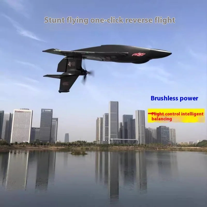 New H650 Big Size Rc Plane Water Proof And Fall Resistant Land And Air Raptor Rc Raptor Fixed Wing Foam Aircraft Outdoor Glider