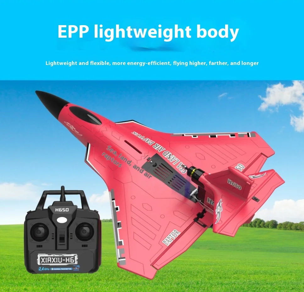 New H650 Big Size Rc Plane Water Proof And Fall Resistant Land And Air Raptor Rc Raptor Fixed Wing Foam Aircraft Outdoor Glider