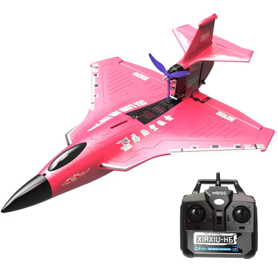 New H650 Big Size Rc Plane Water Proof And Fall Resistant Land And Air Raptor Rc Raptor Fixed Wing Foam Aircraft Outdoor Glider